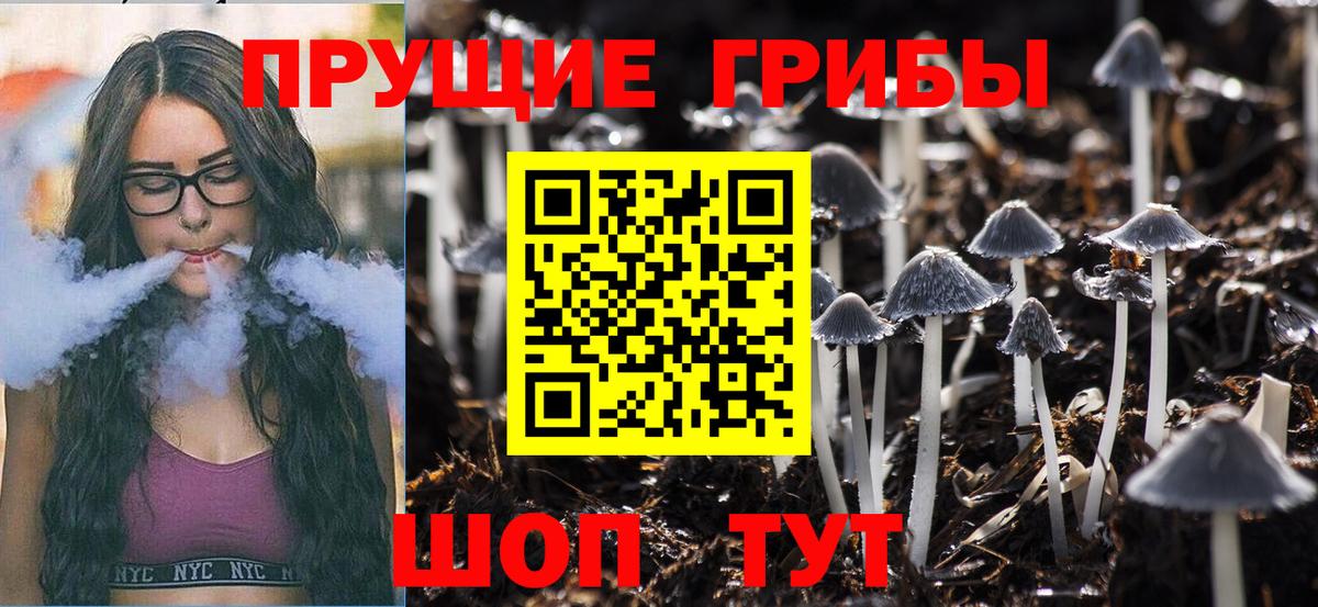 Галлюциногенные грибы Magic Shrooms  как найти закладки  Верхний Уфалей  Вход с VPN 
